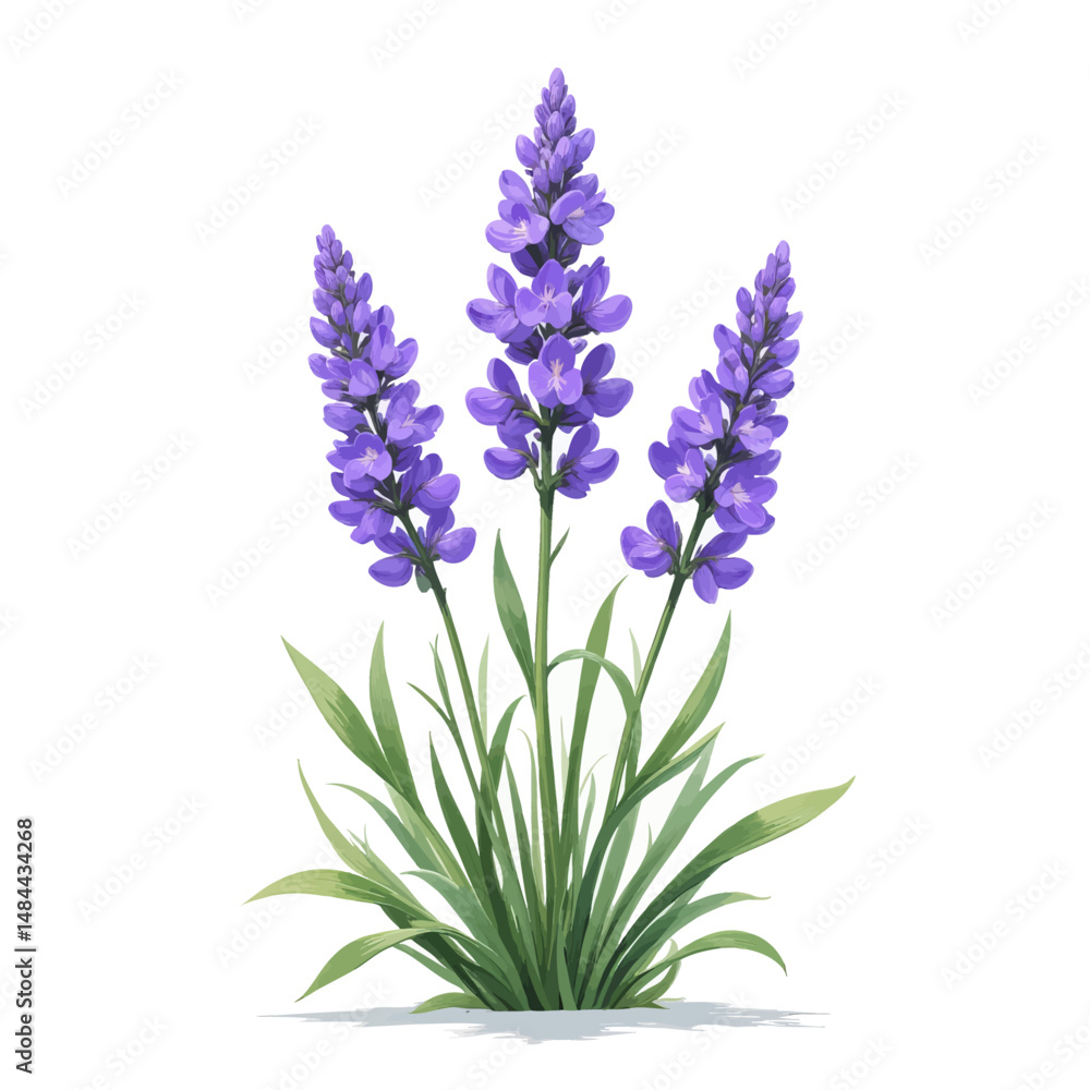 Fototapeta premium Purple Lavender Blooms in Lush Green Garden Under Soft Light