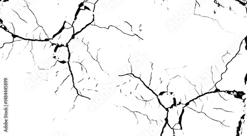 Black and white texture. Crack vector isolated elements. Noise Rough Design. Vector Illustration.