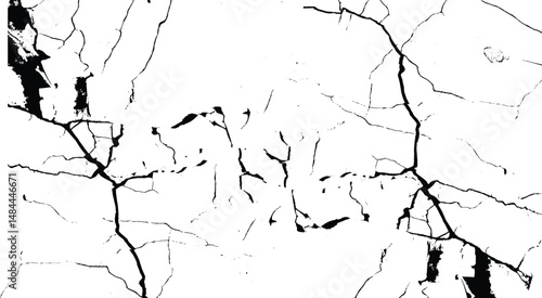 Crack black and white vector texture. Broken ground, wall. Break fissure crash land. Grunge surface. 