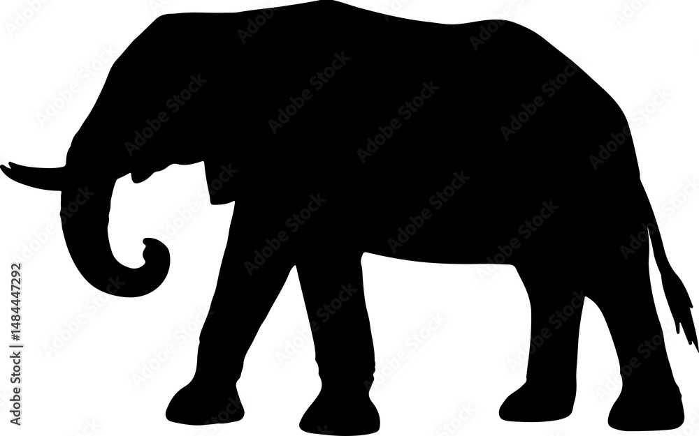 Fototapeta premium ELEPHANT SILHOUETTE