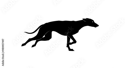 Sleek Black Greyhound Silhouette in Motion