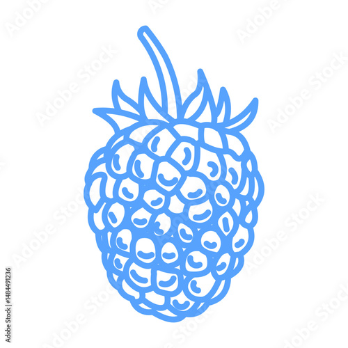 raspberry icon blue