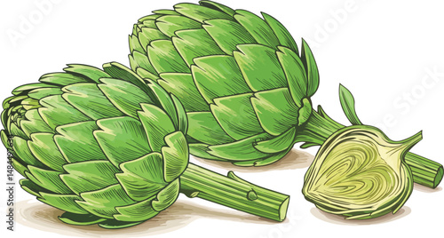 Artichoke in white background Illustration vector design, Artichoke Illustration vector design