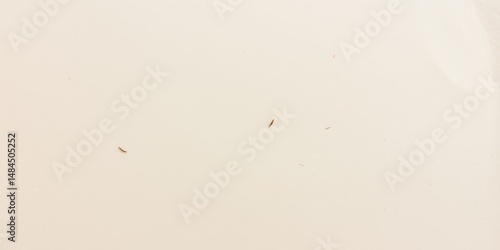 Creamy Beige Texture Background Subtle Hair Minimalist Design Element