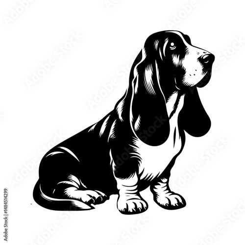 Basset Hound dog silhouette vector file.