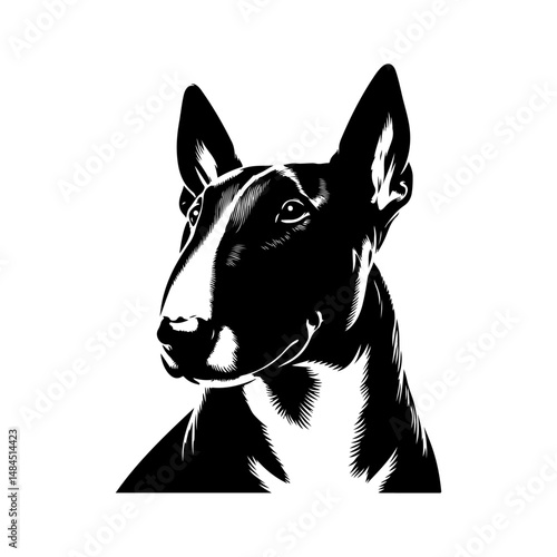 bull terrier dog silhouette vector file.