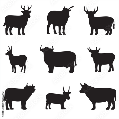 Vector Cow Animals  on Black and White