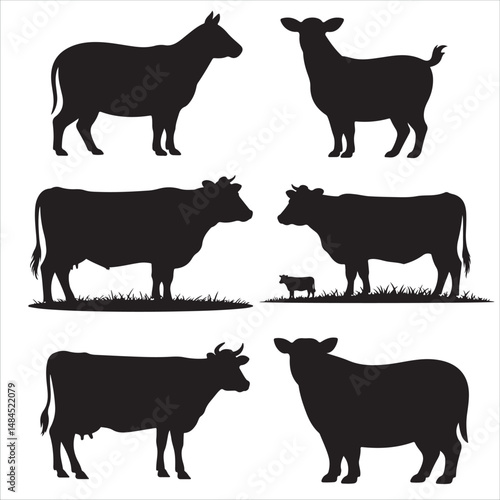 Vector Cow Animals  on Black and White