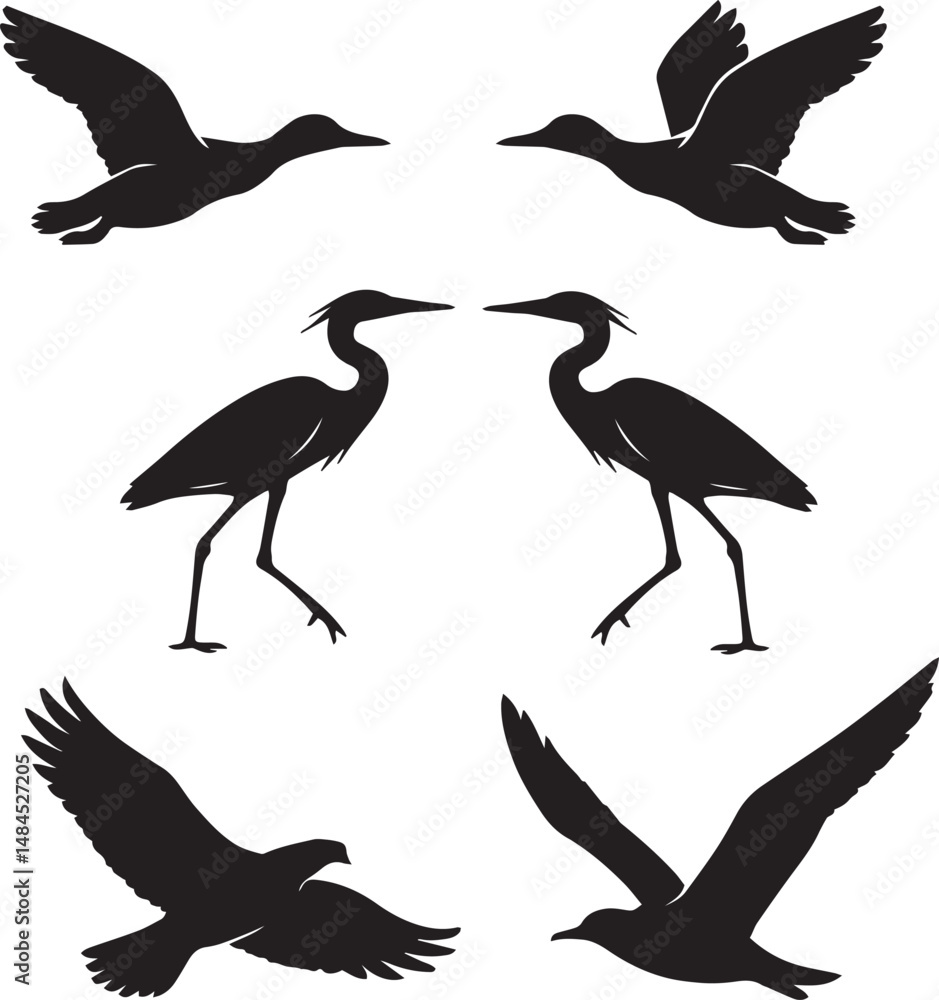 Fototapeta premium Flying and Standing Bird Silhouettes