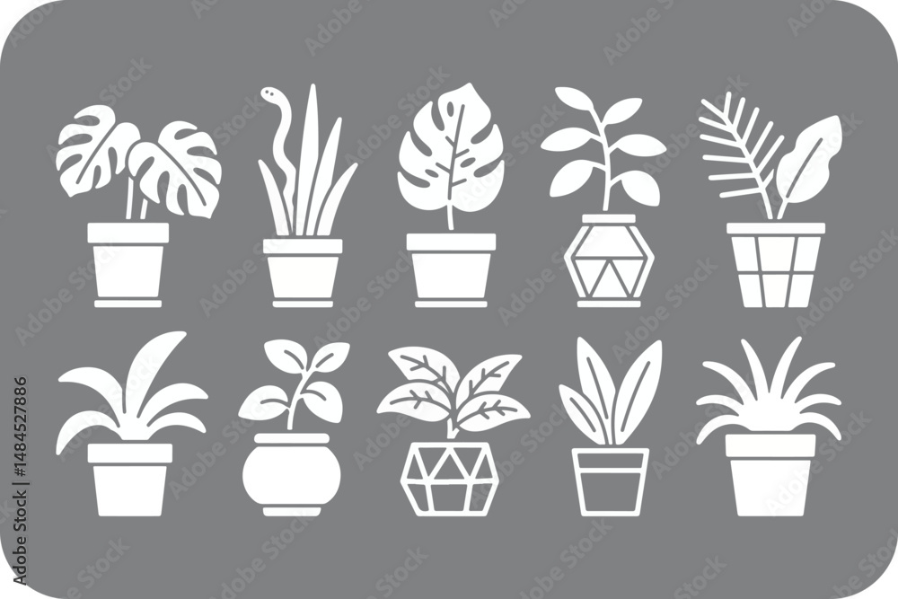 Collection of Twelve Houseplants in Various Pots and Planters Collection of Twelve Houseplants in Various Pots and Planters