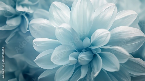 Close-up of pale blue flower petals (1)