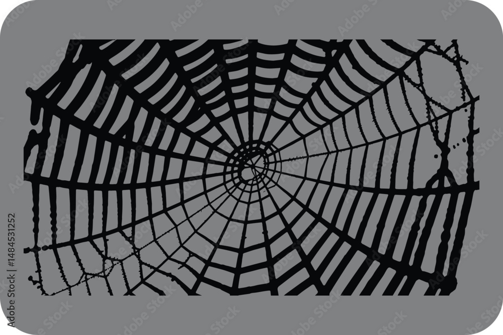Obraz premium Abstract Black and Gray Spiderweb Design Graphic Illustration