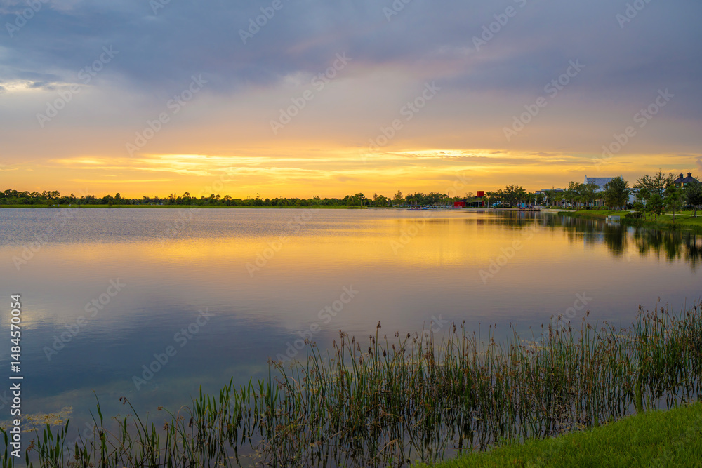Evening landscape over lake water in southern tropical wetlands. Amazing Florida nature at sunset Evening landscape over lake water in southern tropical wetlands. Amazing Florida nature at sunset