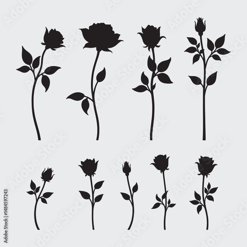 Set of decorative rose with leaves. Flower silhoutte. Vector illustration
