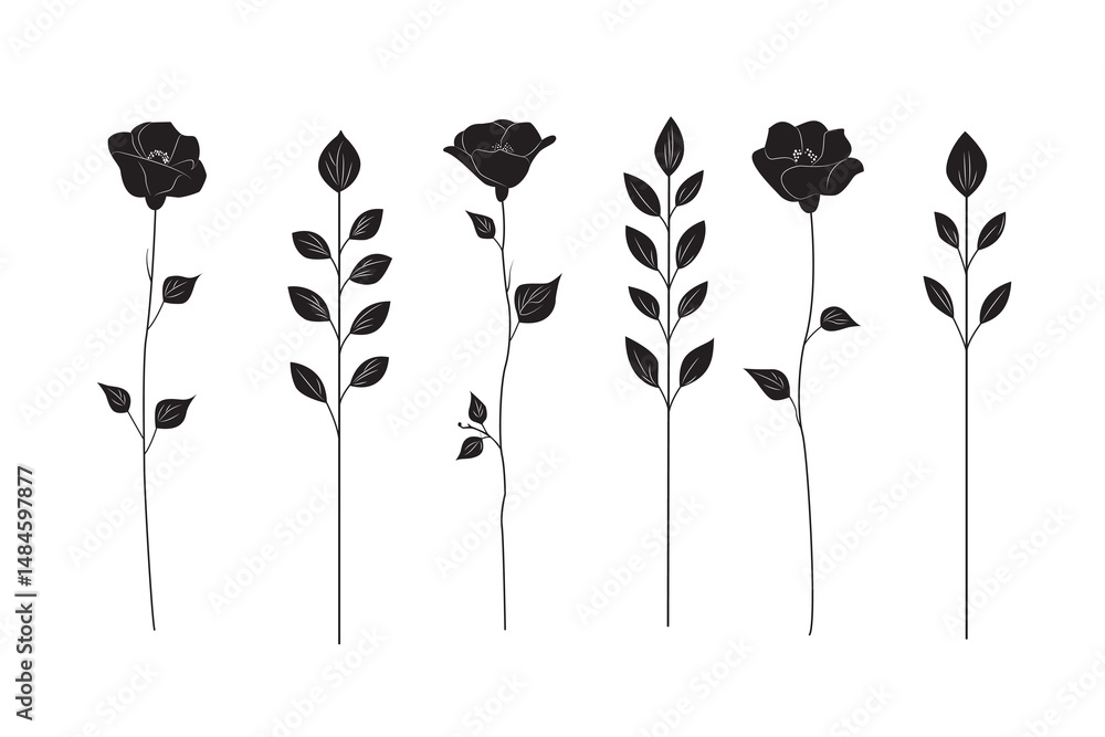 Naklejka premium Flower stalk; garden flowers. Black silhouettes of flowers.; Vector illustration