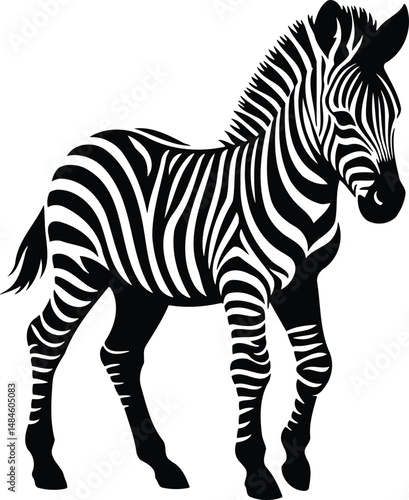 Iconic Zebra Foal Symbol