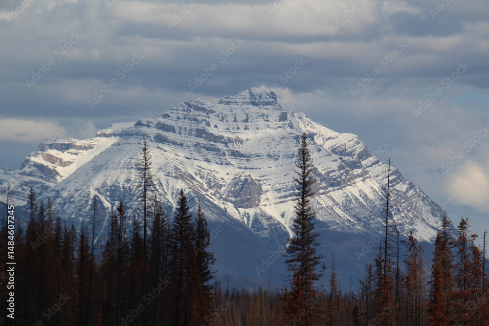 Obraz premium Beauty Of Jasper, Jasper National Park, Alberta