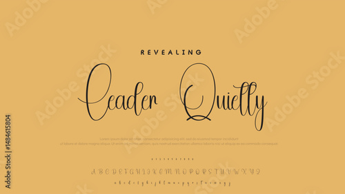 Hand drawn vector alphabet. Modern monoline signature script font. Elegant Signature Font. Best Alphabet Beautiful Calligraphy Signature Font