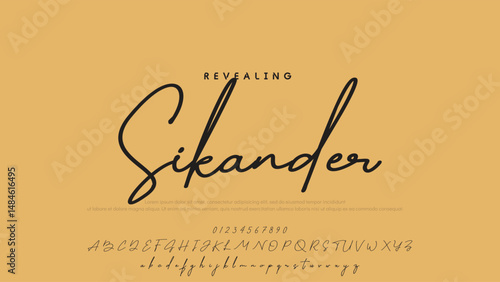 Hand drawn vector alphabet. Modern monoline signature script font. Elegant Signature Font. Best Alphabet Beautiful Calligraphy Signature Font
