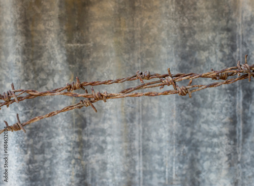 Old rusty barbed wire on a concrete wall background. Selective focus.