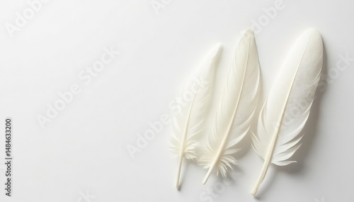Close-up shot of pristine white feathers on pure white backdrop, holy, elegant, innocence