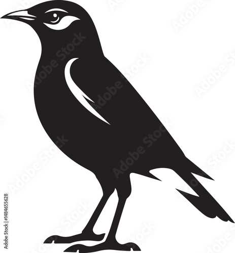 Myna Bird Black Silhouette Vector, Exotic Bird Clipart & Wildlife Graphic Design