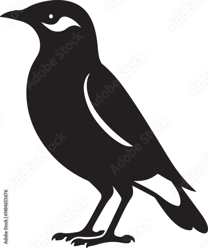Myna Bird Black Silhouette Vector, Exotic Bird Clipart & Wildlife Graphic Design