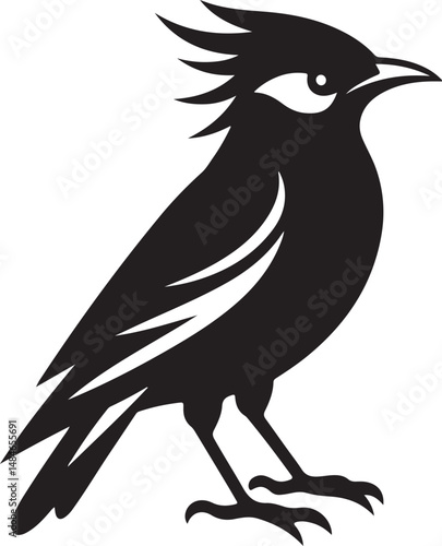Myna Bird Black Silhouette Vector, Exotic Bird Clipart & Wildlife Graphic Design