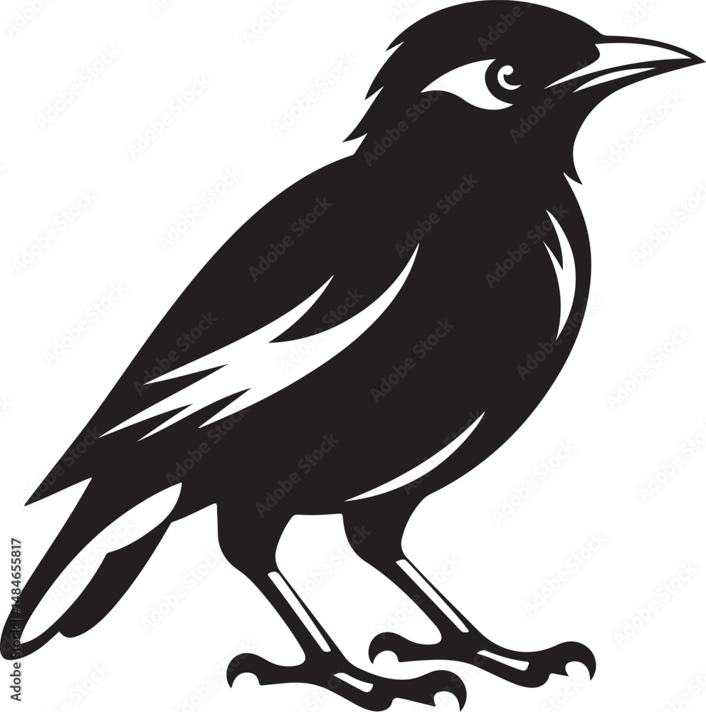 Fototapeta premium Myna Bird Black Silhouette Vector, Exotic Bird Clipart & Wildlife Graphic Design