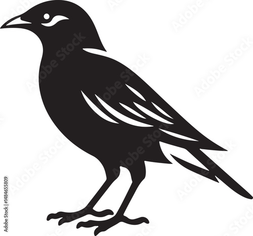 Myna Bird Black Silhouette Vector, Exotic Bird Clipart & Wildlife Graphic Design