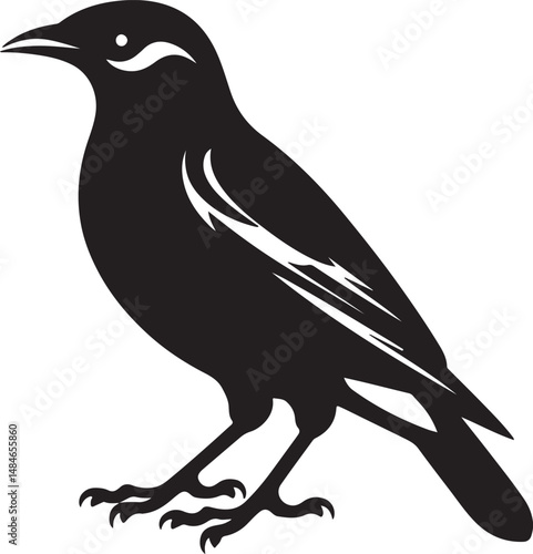Myna Bird Black Silhouette Vector, Exotic Bird Clipart & Wildlife Graphic Design