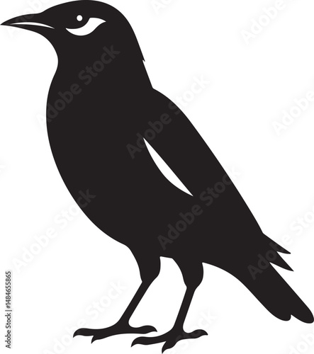 Myna Bird Black Silhouette Vector, Exotic Bird Clipart & Wildlife Graphic Design