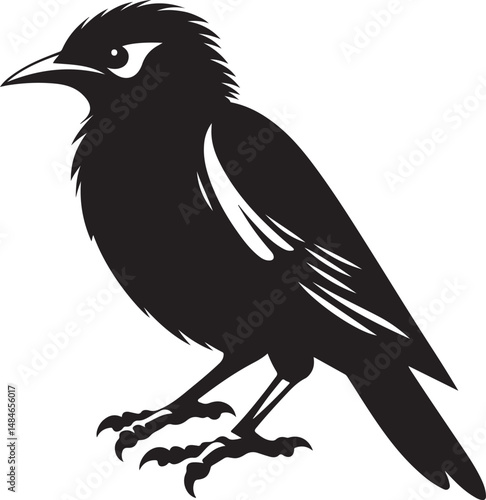 Myna Bird Black Silhouette Vector, Exotic Bird Clipart & Wildlife Graphic Design