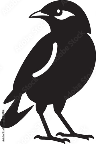 Myna Bird Black Silhouette Vector, Exotic Bird Clipart & Wildlife Graphic Design