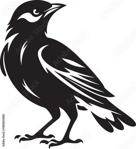 Myna Bird Black Silhouette Vector, Exotic Bird Clipart & Wildlife Graphic Design