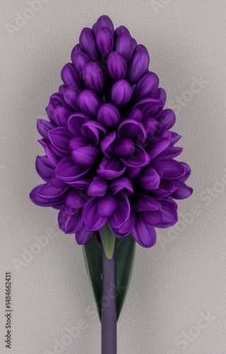 bouquet of flowers in vase