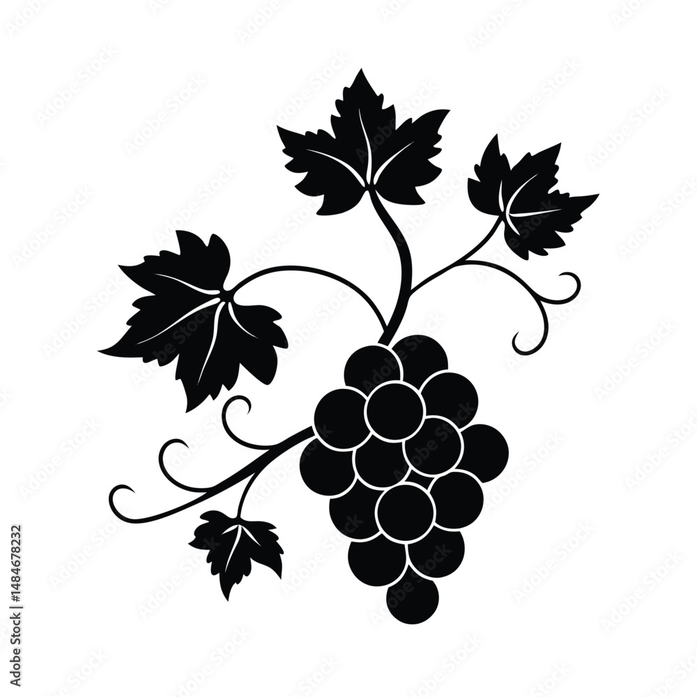 Fototapeta premium Grape tree with flowers and fruit on vector art illustration 
