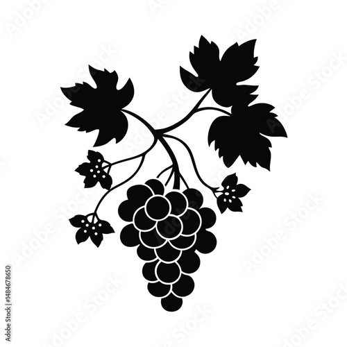 Grape tree with flowers and fruit on vector art illustration 