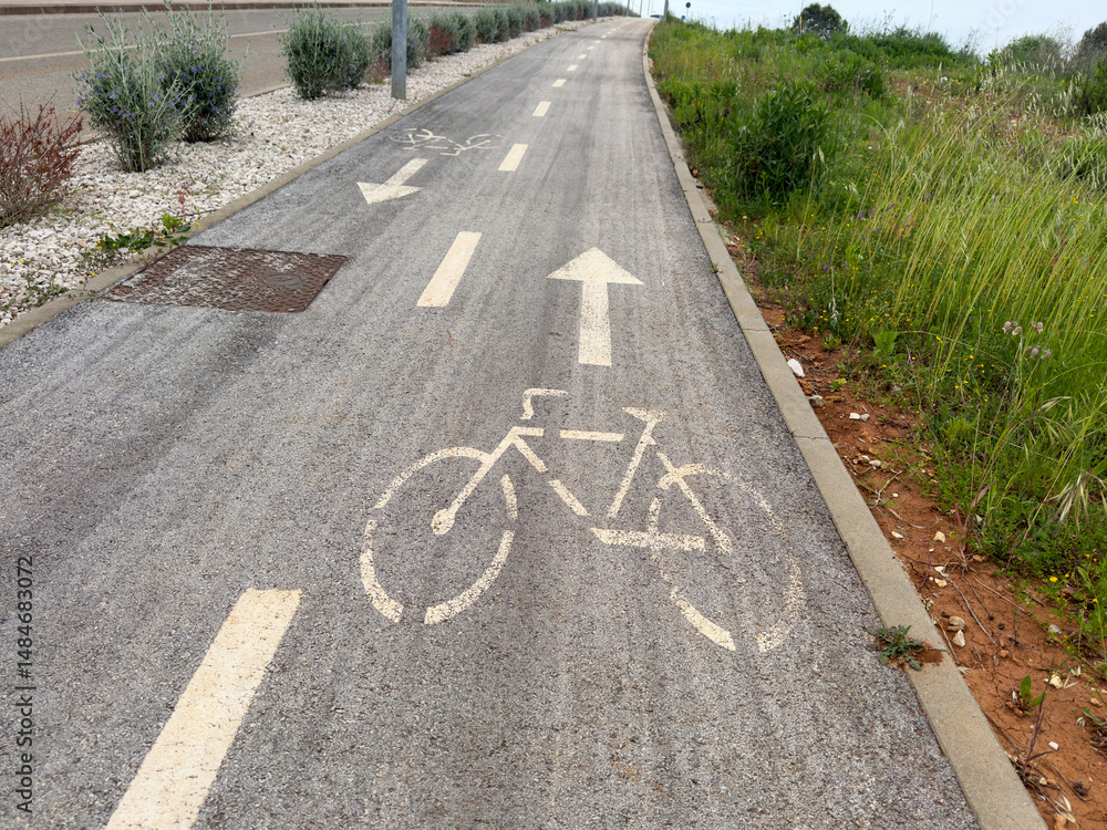 Obraz premium Marked Bicycle Lane on Urban Road with Arrow Directions