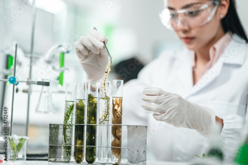 Botanical research in a mod...
