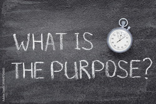 what is the purpose watch