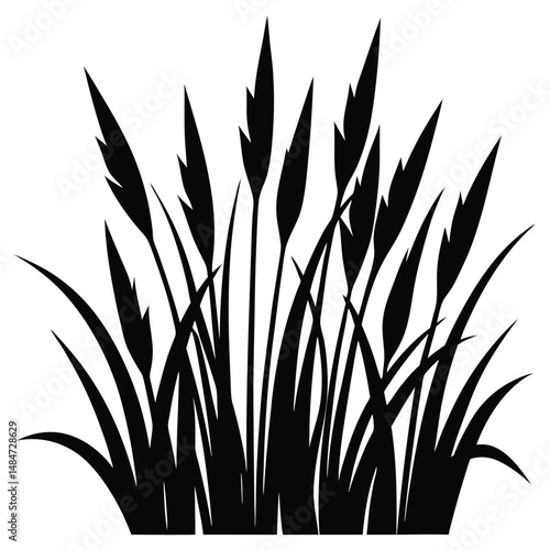 Black silhouette of tall grass blades with cattails on a white background, nature-themed illustration