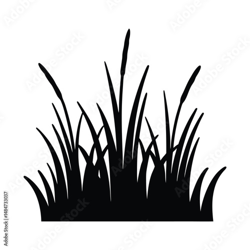 Black silhouette of tall grass blades with cattails on a white background, nature-themed illustration