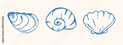 Boho summer shell set. Hand drawn ink seashells, marine icon for poster, banner, design Italian menu, surf club. Coastal minimalist isolated vector illustration.
