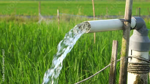 Irrigation of rice fields using pump wells with the technique of pumping water from the ground to flow into the rice fields. The pumping station where water is pumped from a irrigation canal system.