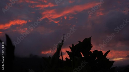 Majestic cloudy orange sunset in the mountains of Costa Rica, beautiful landscape