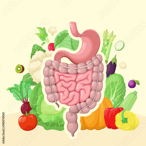 The organs of the digestive system on the background of vegetables and fruits. Proper nutrition. Intestines and stomach. Vector.