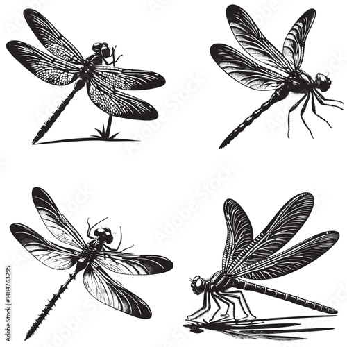Dragonfly Silhouette  set 