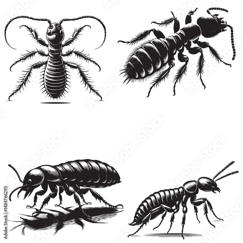 Termite silhouette set 