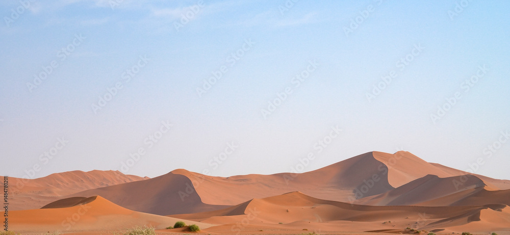 Naklejka premium Rote Dünen in Sossusvlei am Morgen